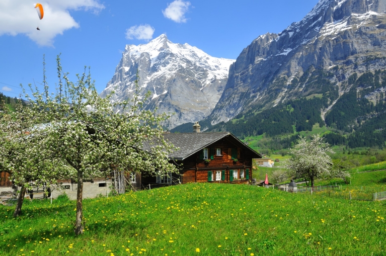 Chalet in the Alps
