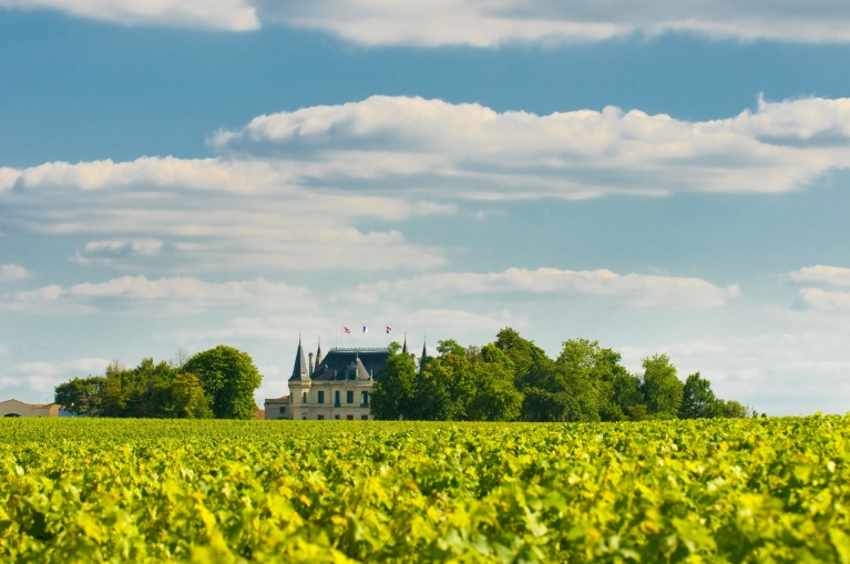 Chateau and vineyard in Margaux, Bordeaux