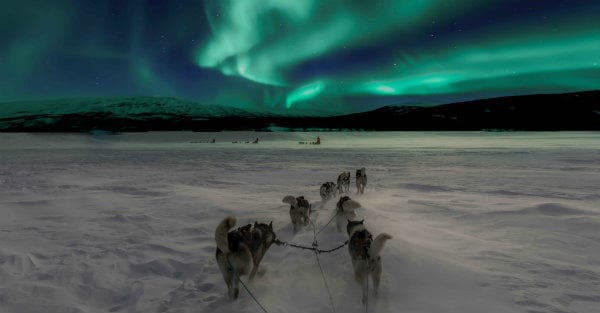 Everything about Eurail | Huskey riding with the beautiful Northern lights in Norway