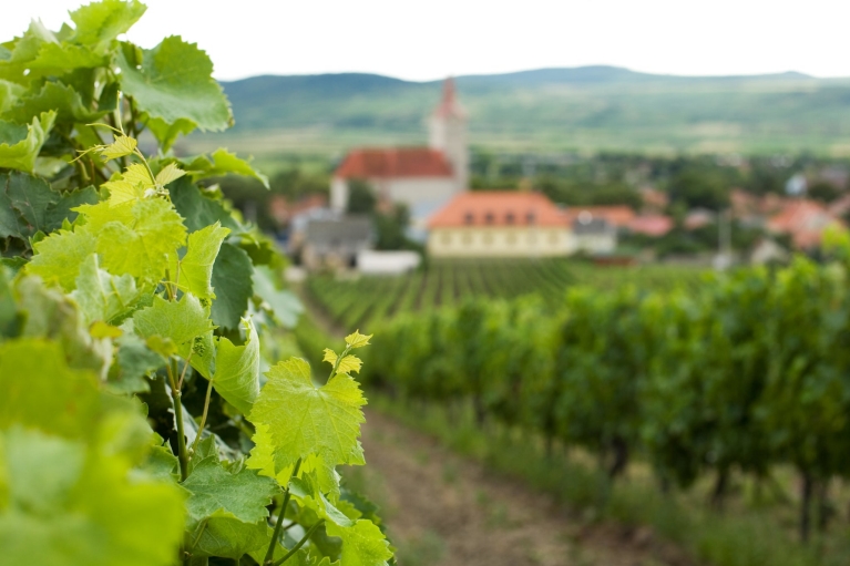 Szépasszony Valley