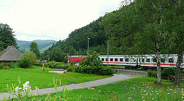 train_crossing_black_forest_germany
